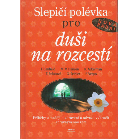 Slepičí polévka pro duši na rozcestí - Jack Canfield a kol.