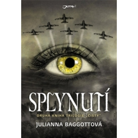 Splynutí - Julianna Baggottová